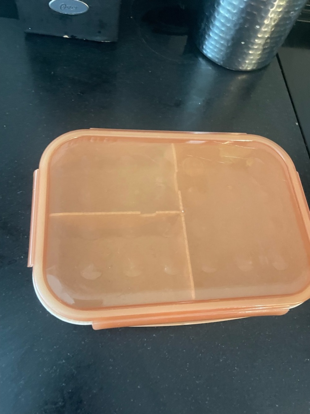 Orange Plastic Divided Food Container